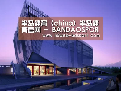 案例展示六(图1) 案例展示六(图1)