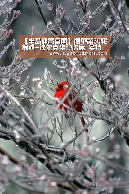 【半岛体育官网】德甲第30轮综述-沙尔克坐稳次席 多特输球跌至第四(图2) 半岛体育下载